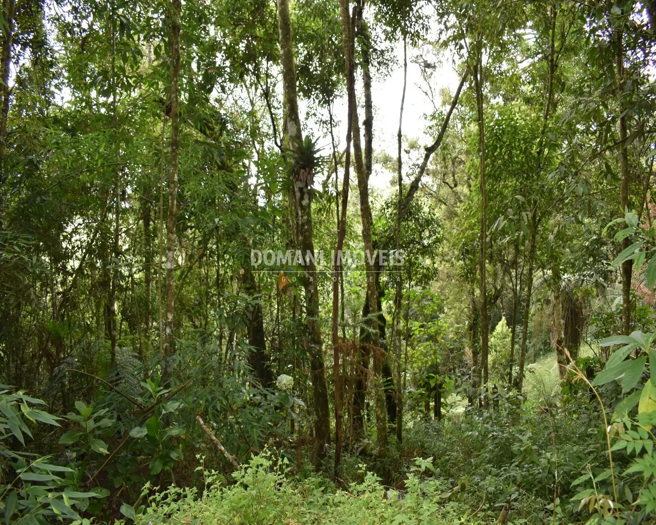 Plot for sale of 900 m² in Campos do Jordão, SP, Brazil