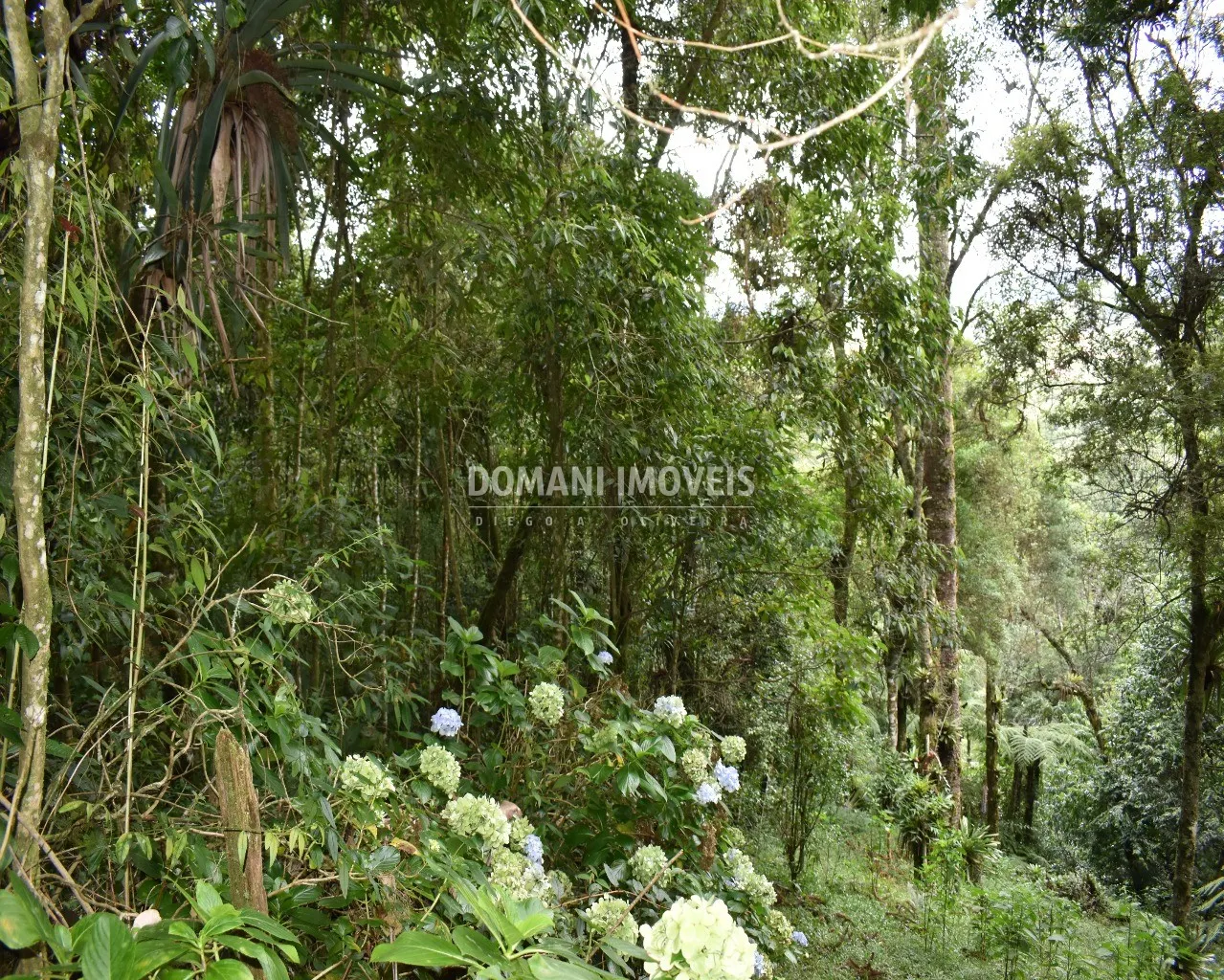 Plot for sale of 900 m² in Campos do Jordão, SP, Brazil
