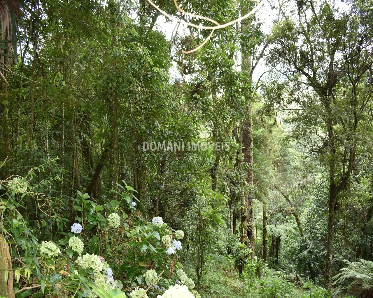 Plot for sale of 900 m² in Campos do Jordão, SP, Brazil