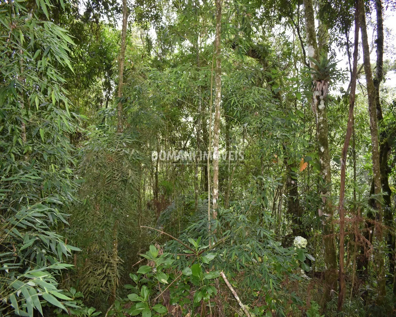 Plot for sale of 900 m² in Campos do Jordão, SP, Brazil