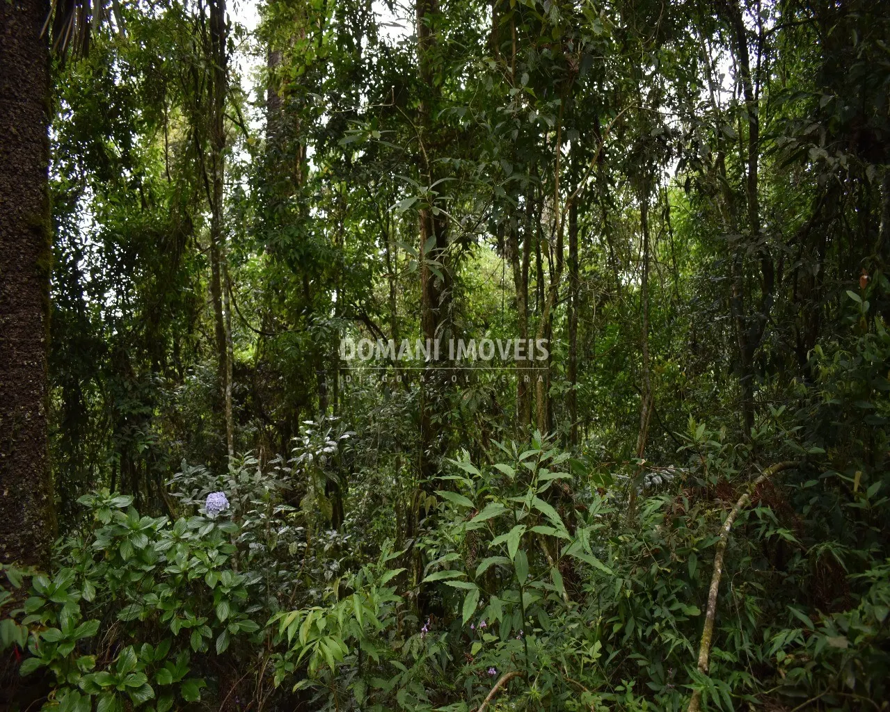 Plot for sale of 900 m² in Campos do Jordão, SP, Brazil