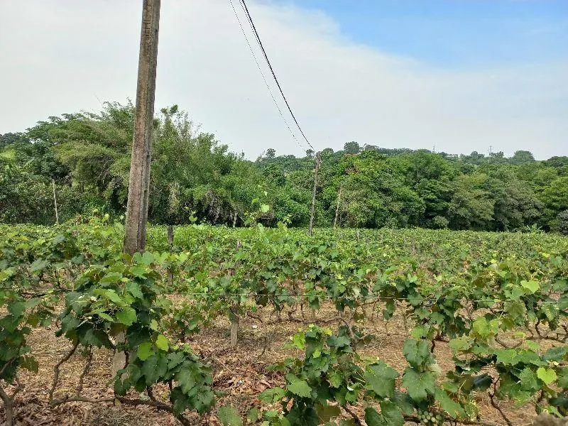 Country home for sale of 7 acres in Indaiatuba, SP, Brazil