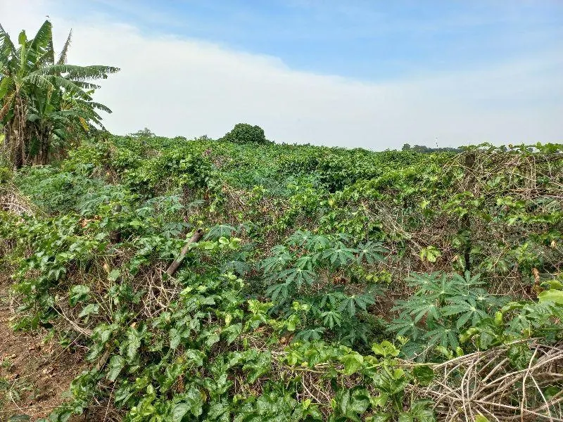 Country home for sale of 7 acres in Indaiatuba, SP, Brazil