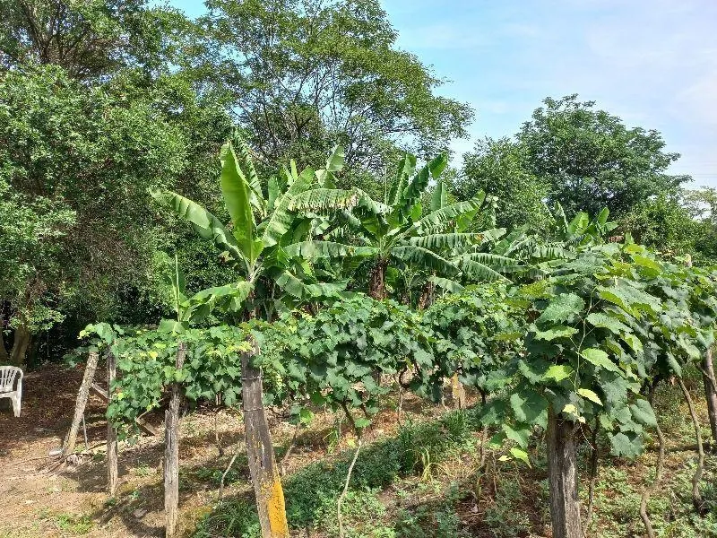 Country home for sale of 7 acres in Indaiatuba, SP, Brazil