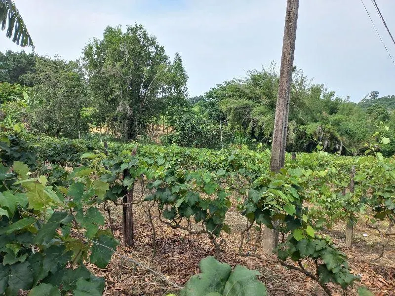 Country home for sale of 7 acres in Indaiatuba, SP, Brazil