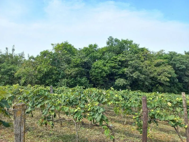 Country home for sale of 7 acres in Indaiatuba, SP, Brazil