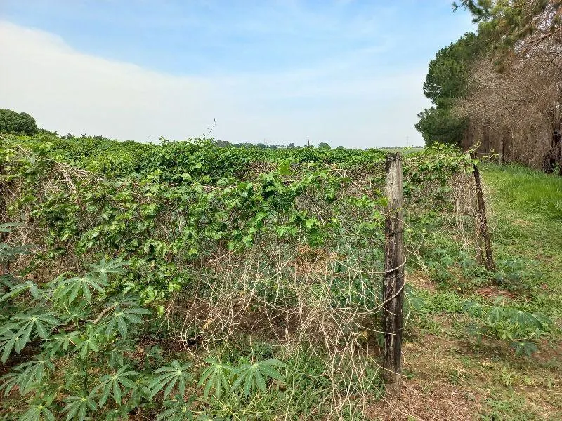 Country home for sale of 7 acres in Indaiatuba, SP, Brazil