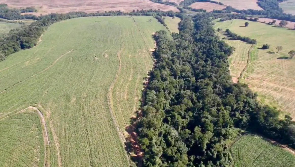 Sítio à venda de 22 ha em Alambari, SP, Brasil