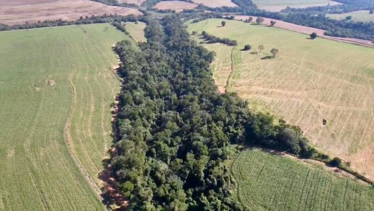 Sítio à venda de 22 ha em Alambari, SP, Brasil