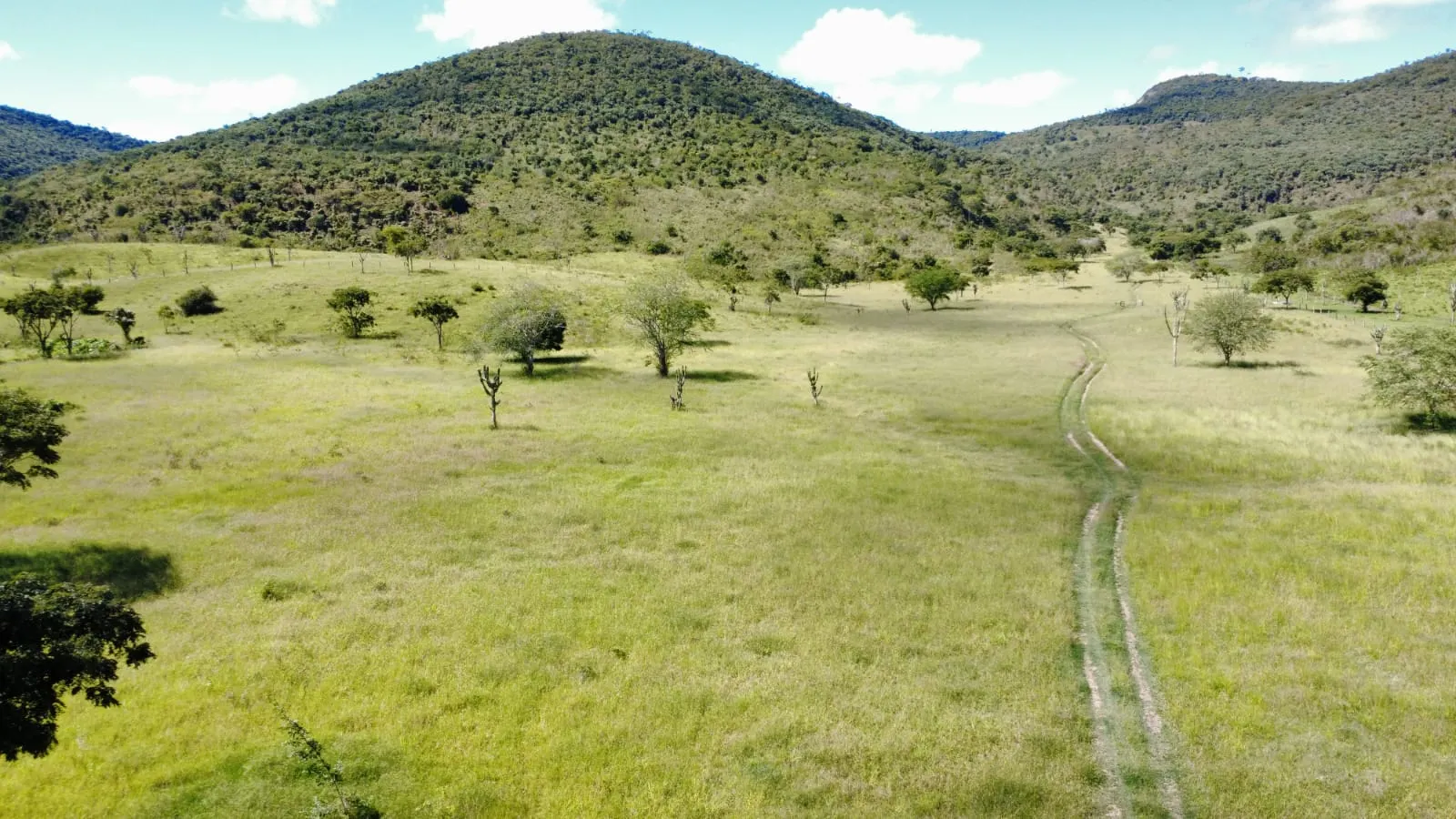 Fazenda à venda de 2.500 ha em Jequié, BA, Brasil