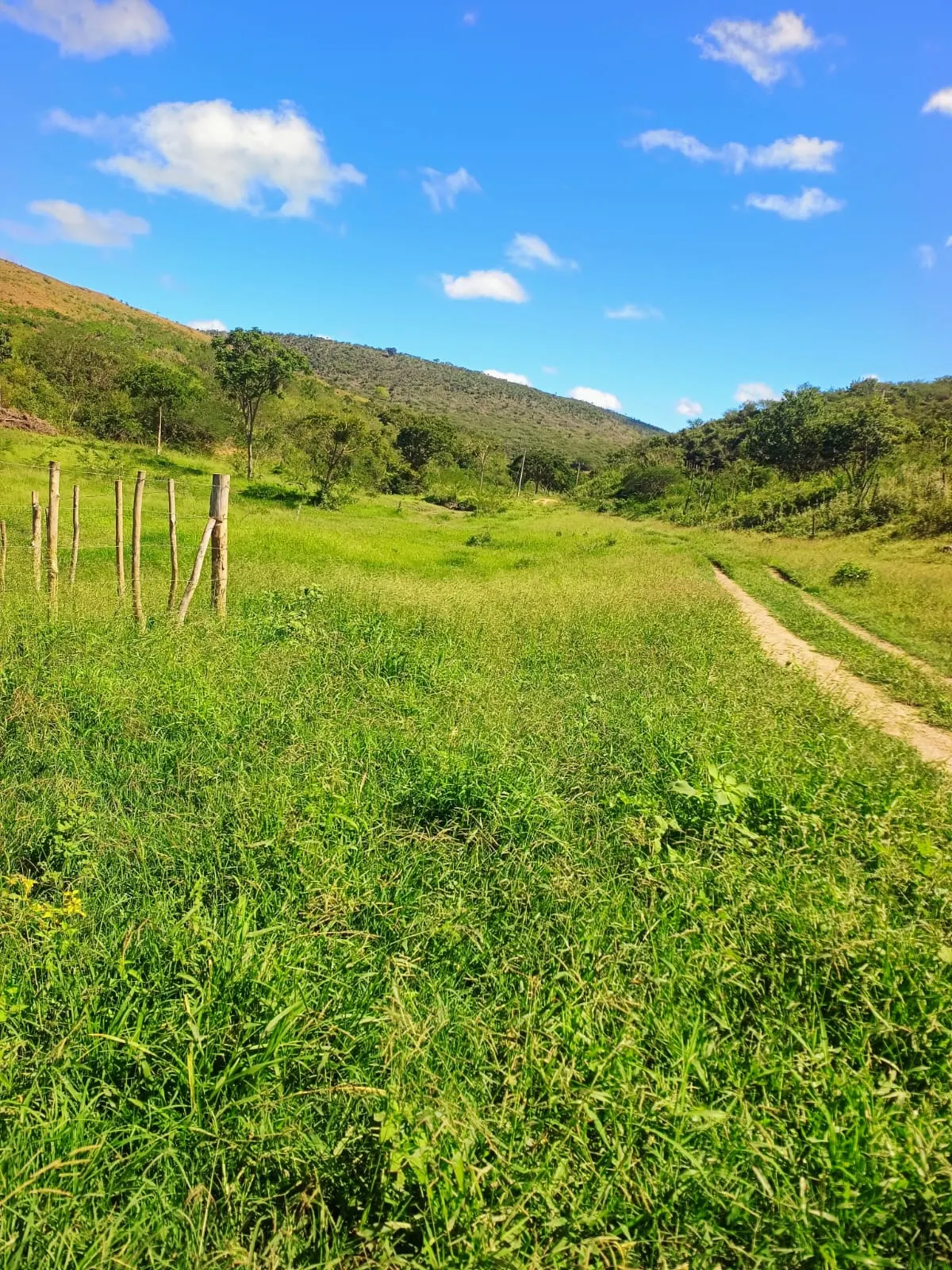 Fazenda à venda de 2.500 ha em Jequié, BA, Brasil