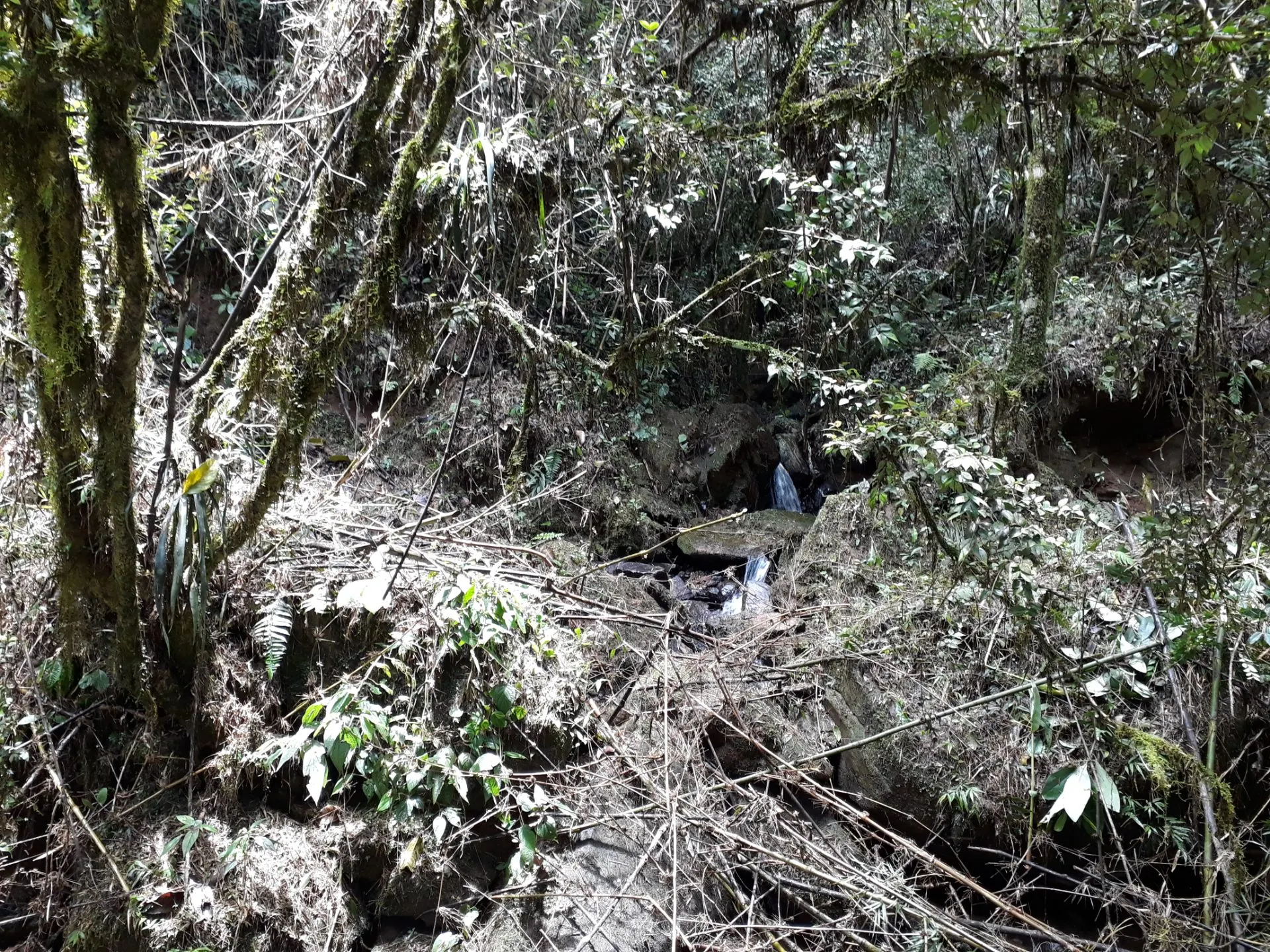 Plot for sale of 6 acres in Marmelópolis, MG, Brazil