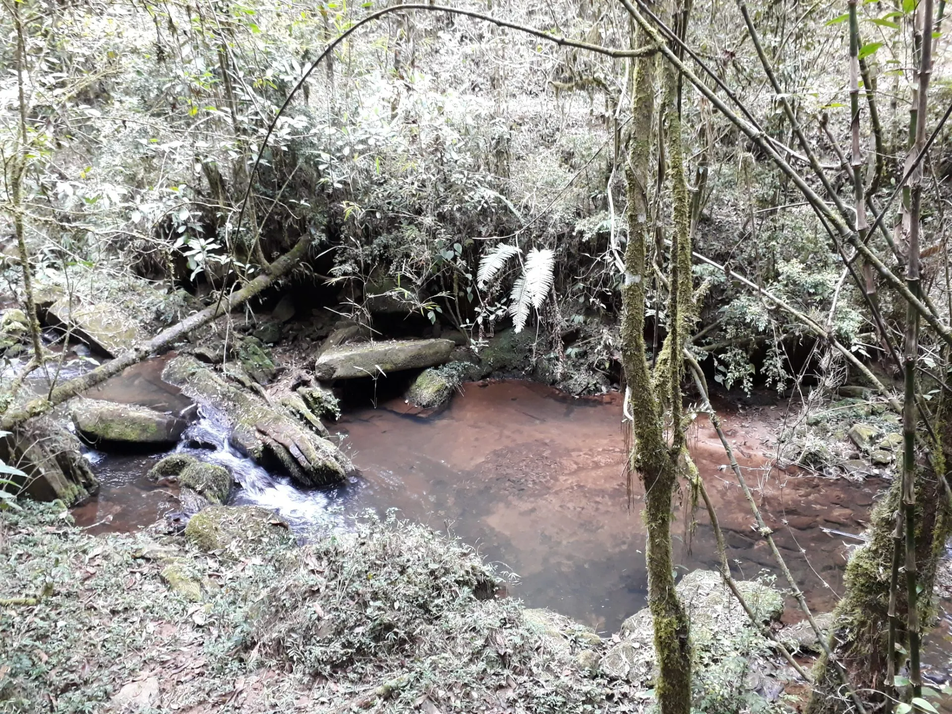 Terreno à venda de 2 ha em Marmelópolis, MG, Brasil