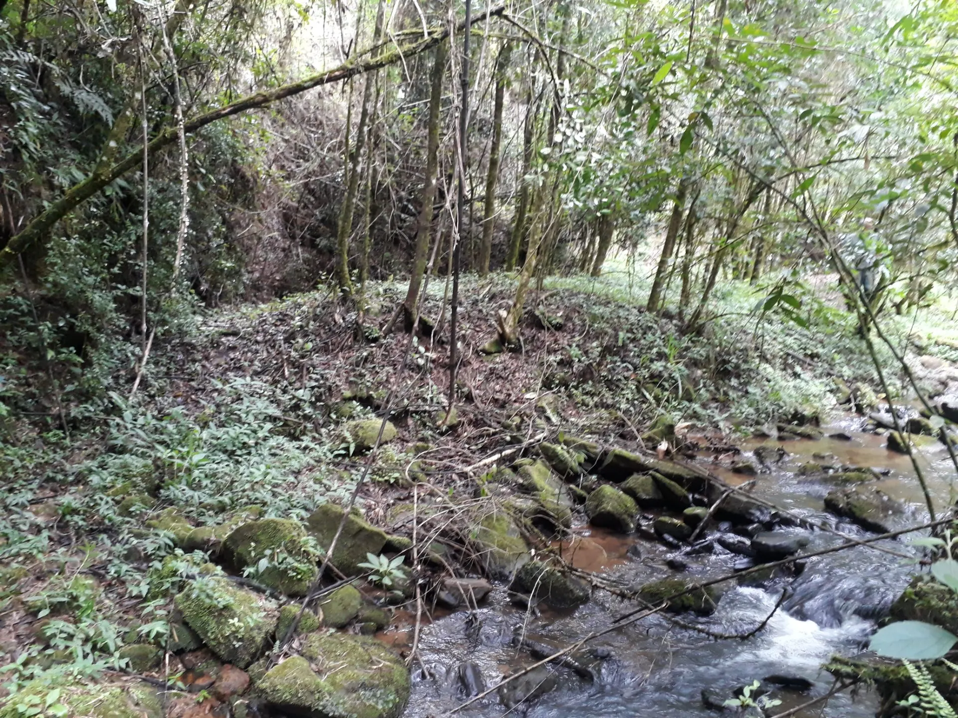 Plot for sale of 6 acres in Marmelópolis, MG, Brazil