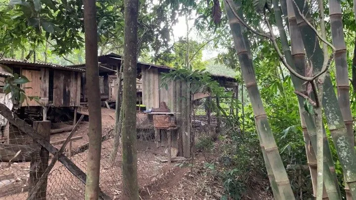 Chácara à venda de 1 ha em Nova Hartz, RS, Brasil