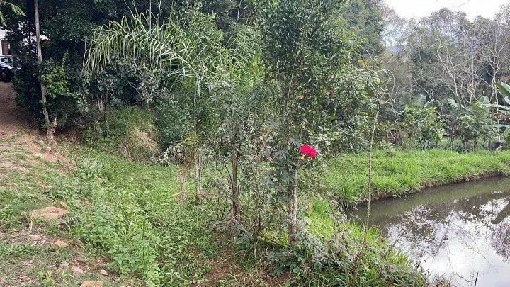 Chácara à venda de 1 ha em Nova Hartz, RS, Brasil