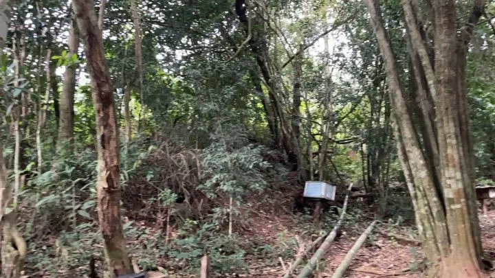 Chácara à venda de 1 ha em Nova Hartz, RS, Brasil
