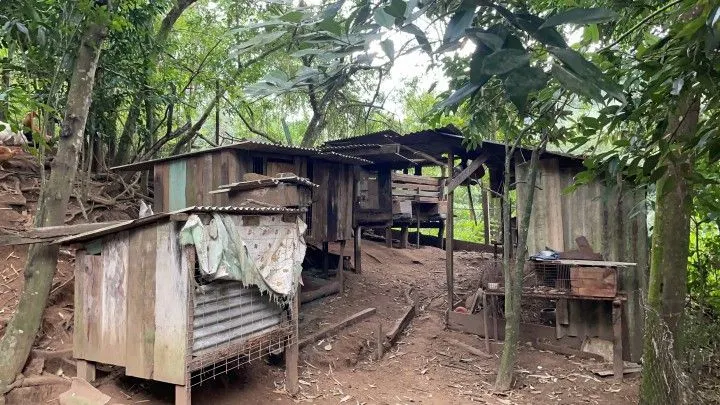 Chácara à venda de 1 ha em Nova Hartz, RS, Brasil