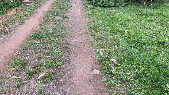 Chácara à venda de 1 ha em Nova Hartz, RS, Brasil