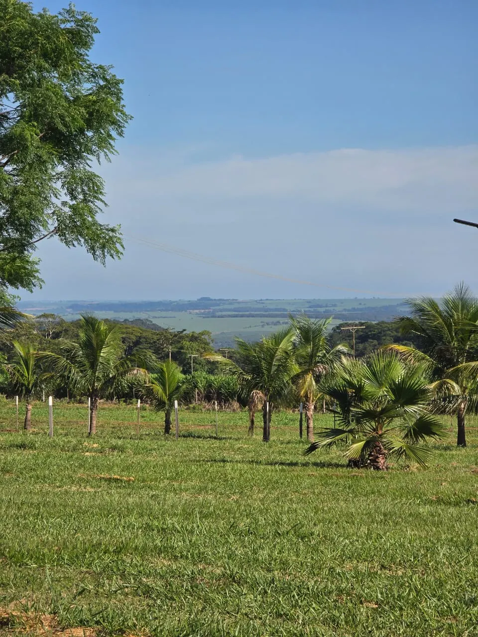 Ecovila à venda de 2 ha em Dourado, SP, Brasil