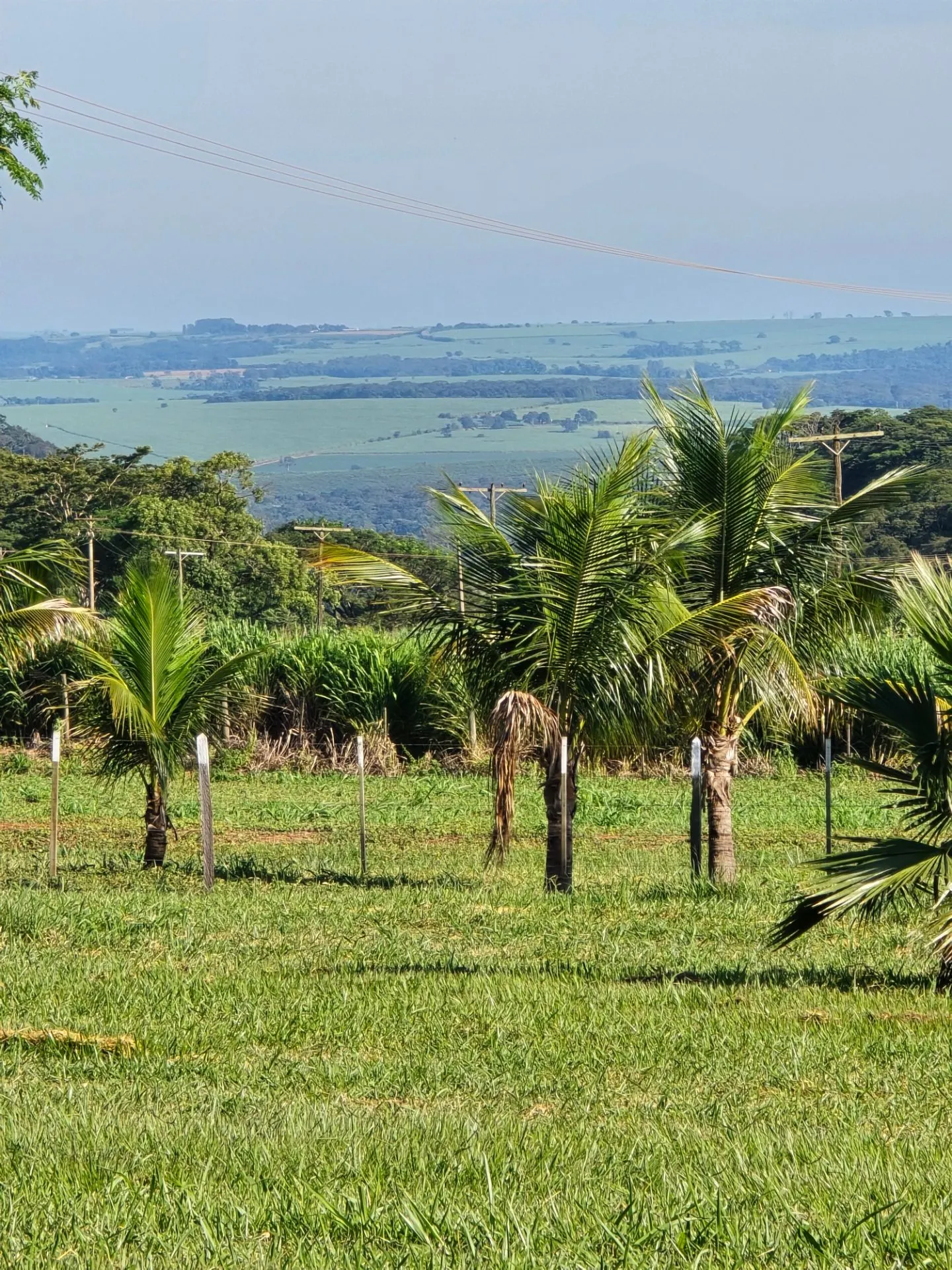Ecovila à venda de 2 ha em Dourado, SP, Brasil