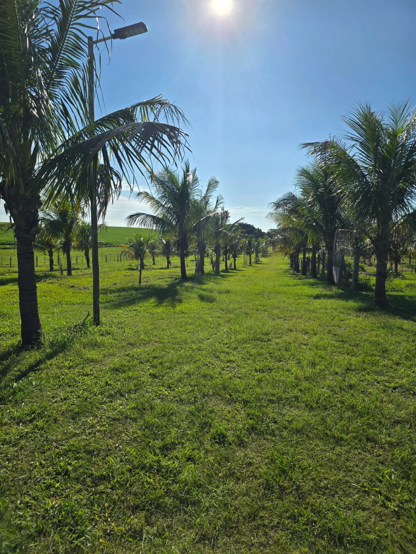 Ecovila à venda de 2 ha em Dourado, SP, Brasil