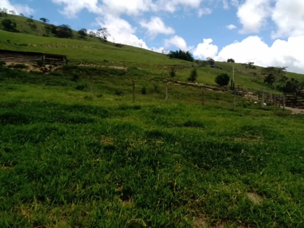 Sítio à venda de 5 ha em Paraibuna, SP, Brasil