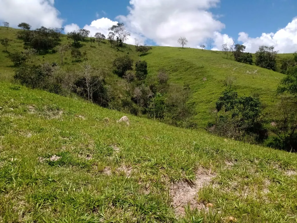 Sítio à venda de 5 ha em Paraibuna, SP, Brasil