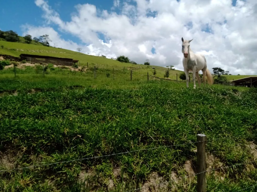 Sítio à venda de 5 ha em Paraibuna, SP, Brasil