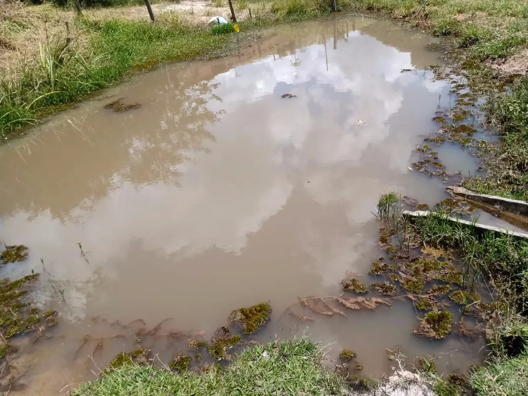 Sítio à venda de 5 ha em Paraibuna, SP, Brasil