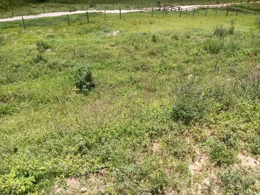 Sítio à venda de 5 ha em Paraibuna, SP, Brasil