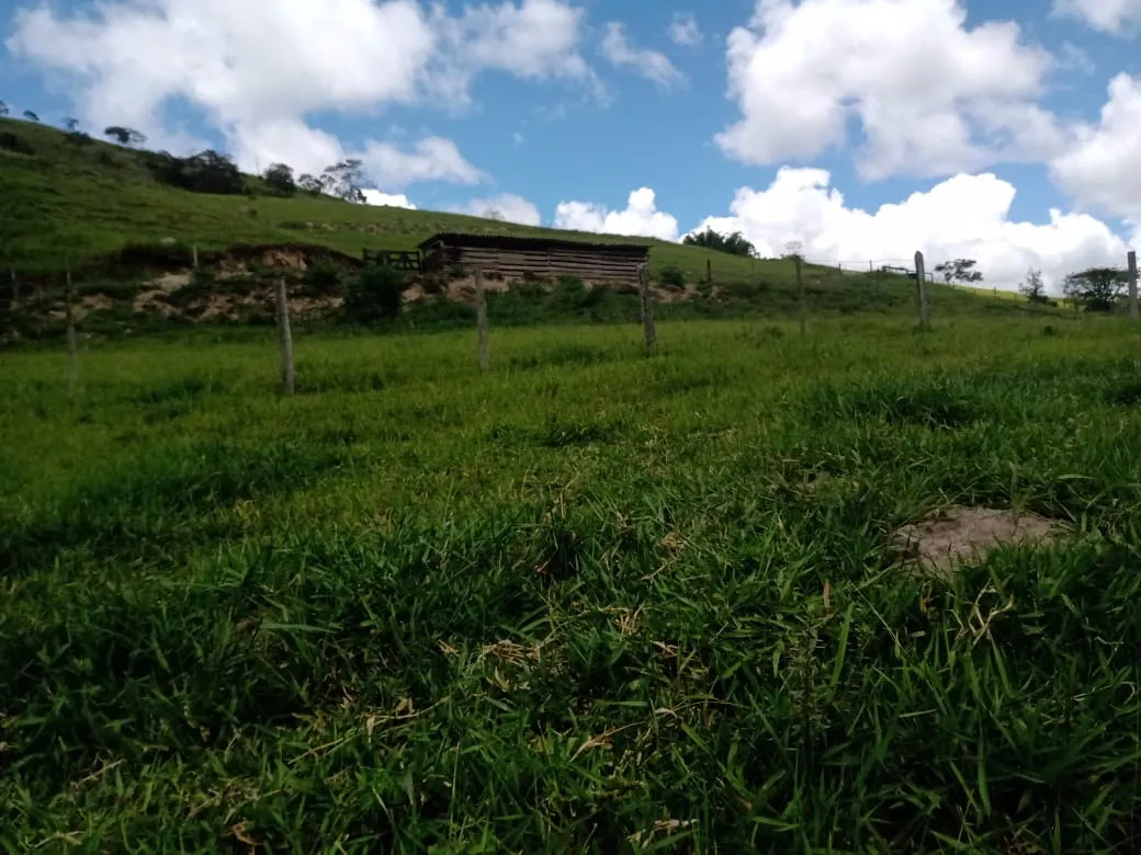 Sítio à venda de 5 ha em Paraibuna, SP, Brasil
