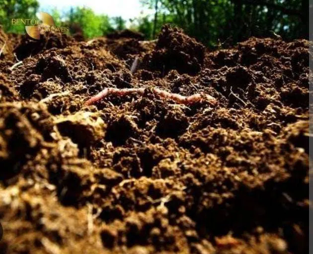 Fazenda à venda de 340 ha em Poconé, MT, Brasil