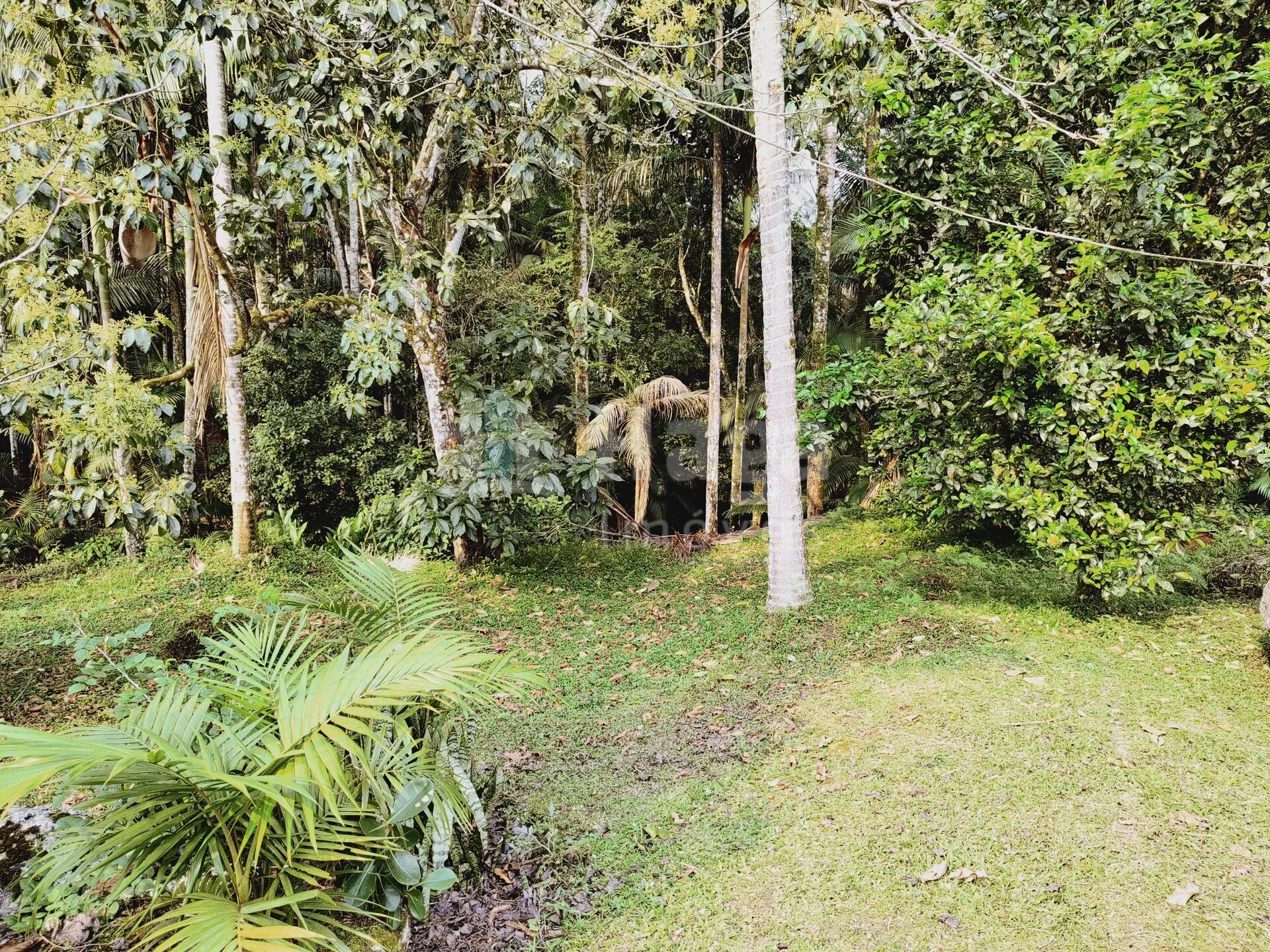 Chácara à venda de 5 ha em Guabiruba, SC, Brasil