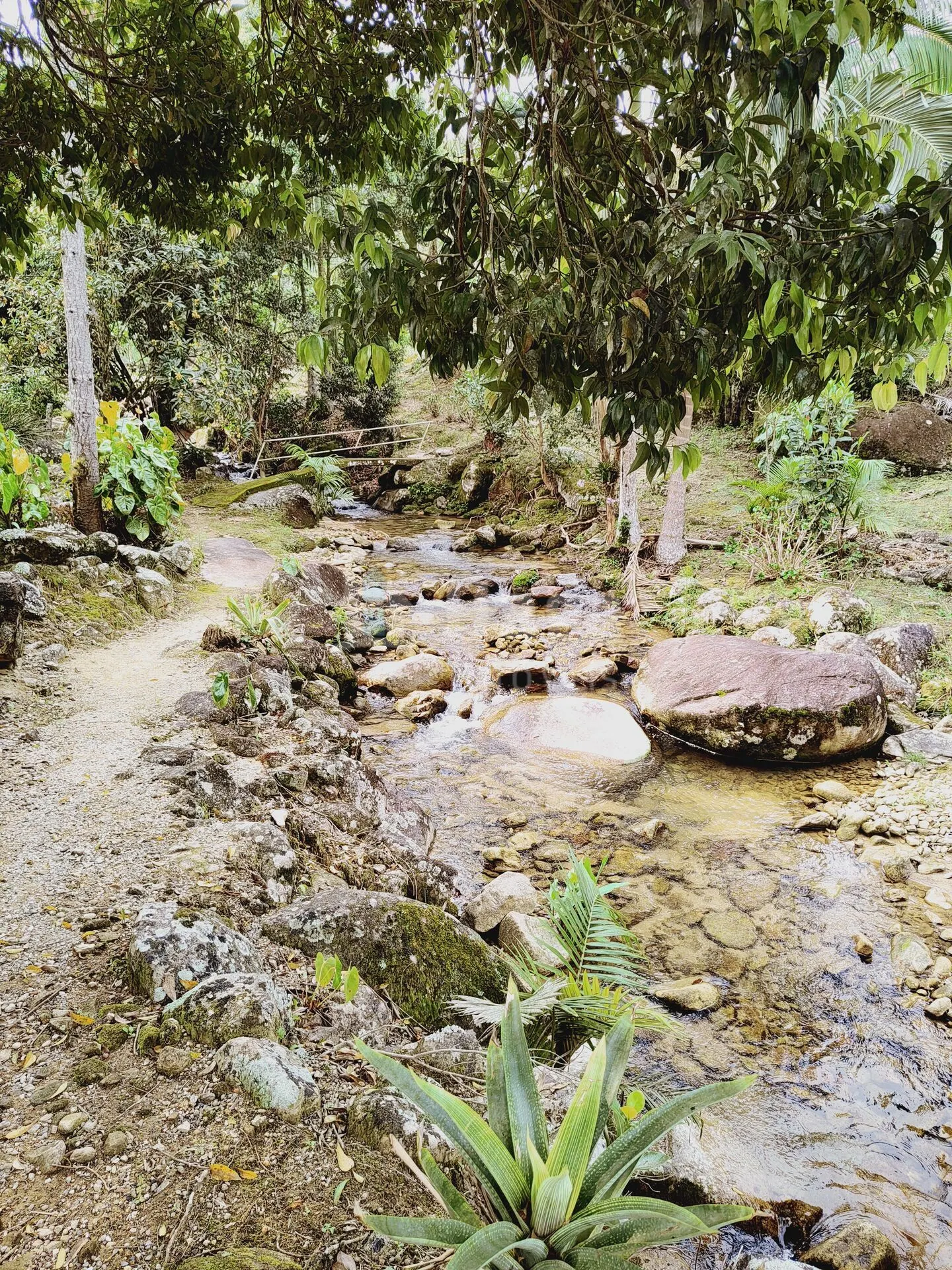 Chácara à venda de 5 ha em Guabiruba, SC, Brasil