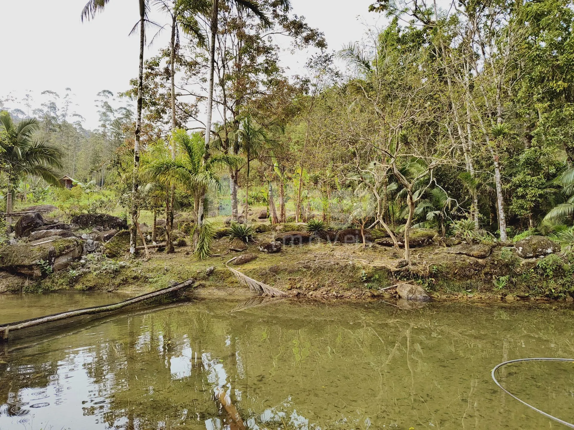 Chácara à venda de 5 ha em Guabiruba, SC, Brasil