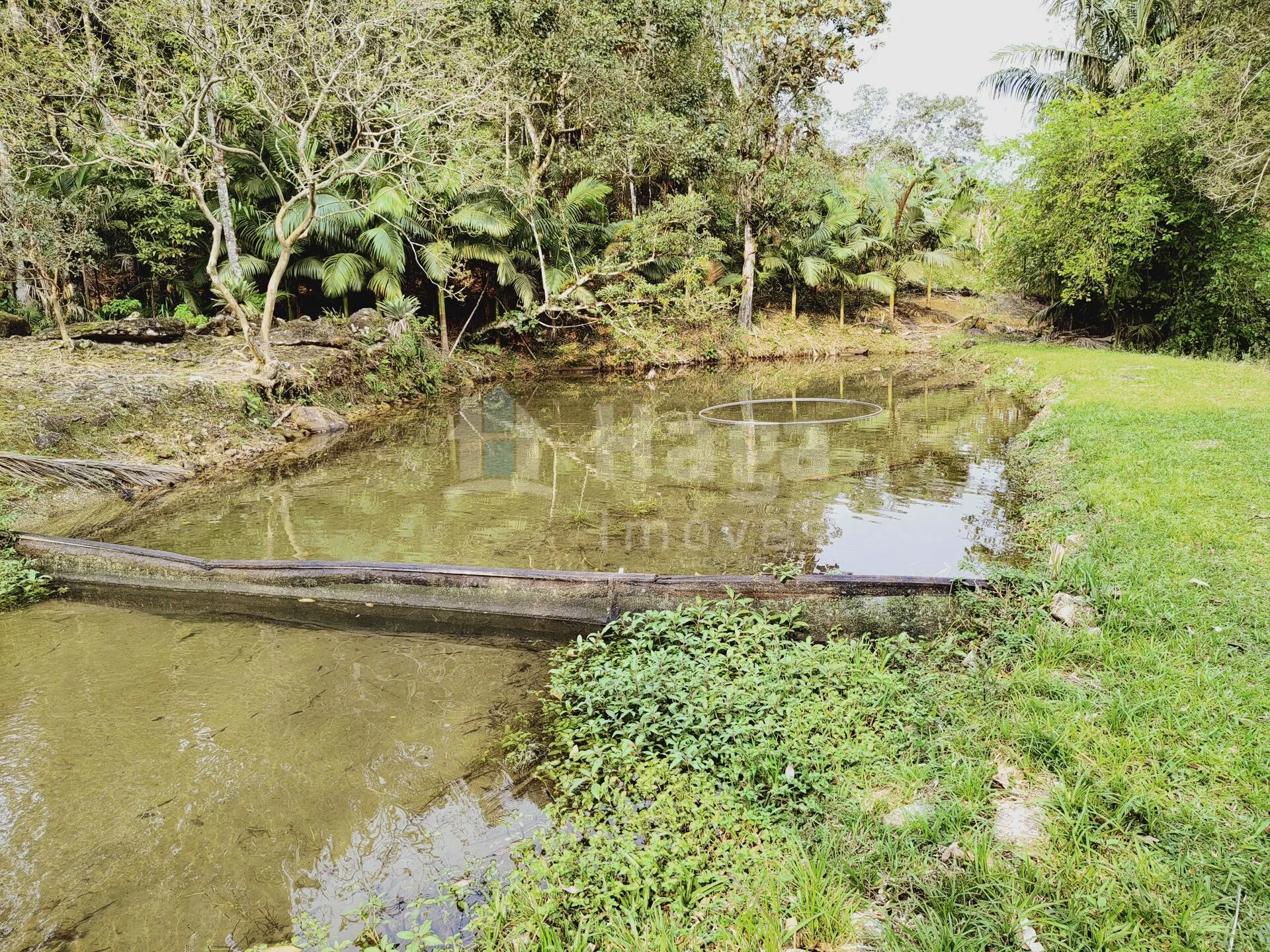 Chácara à venda de 5 ha em Guabiruba, SC, Brasil