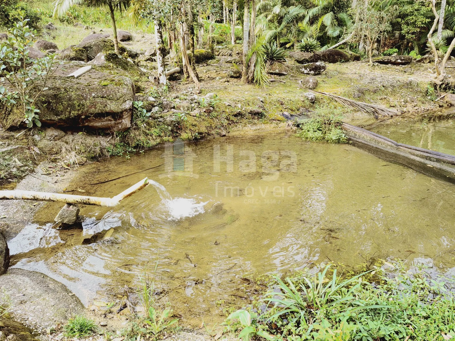 Chácara à venda de 5 ha em Guabiruba, SC, Brasil
