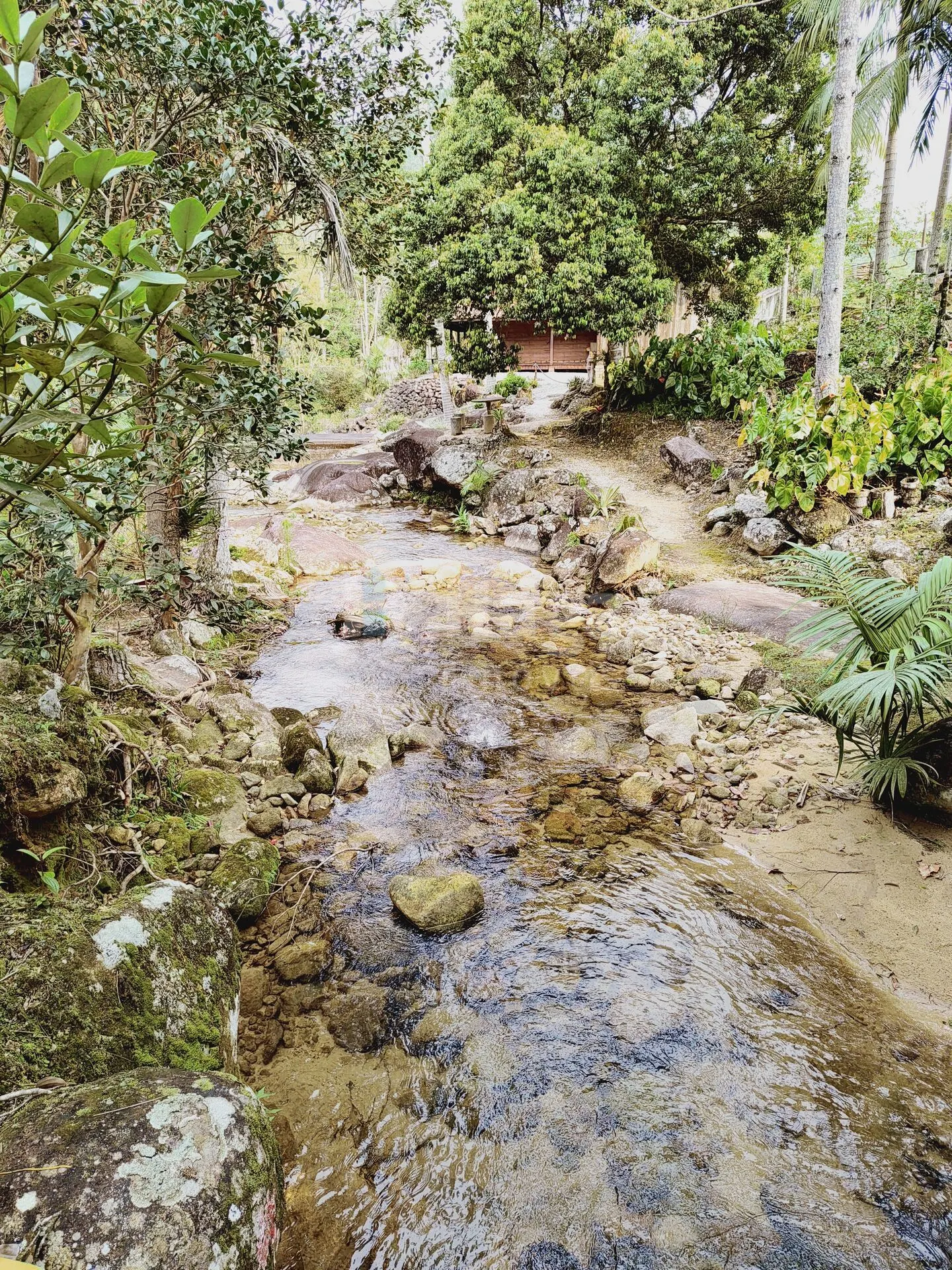 Chácara à venda de 5 ha em Guabiruba, SC, Brasil