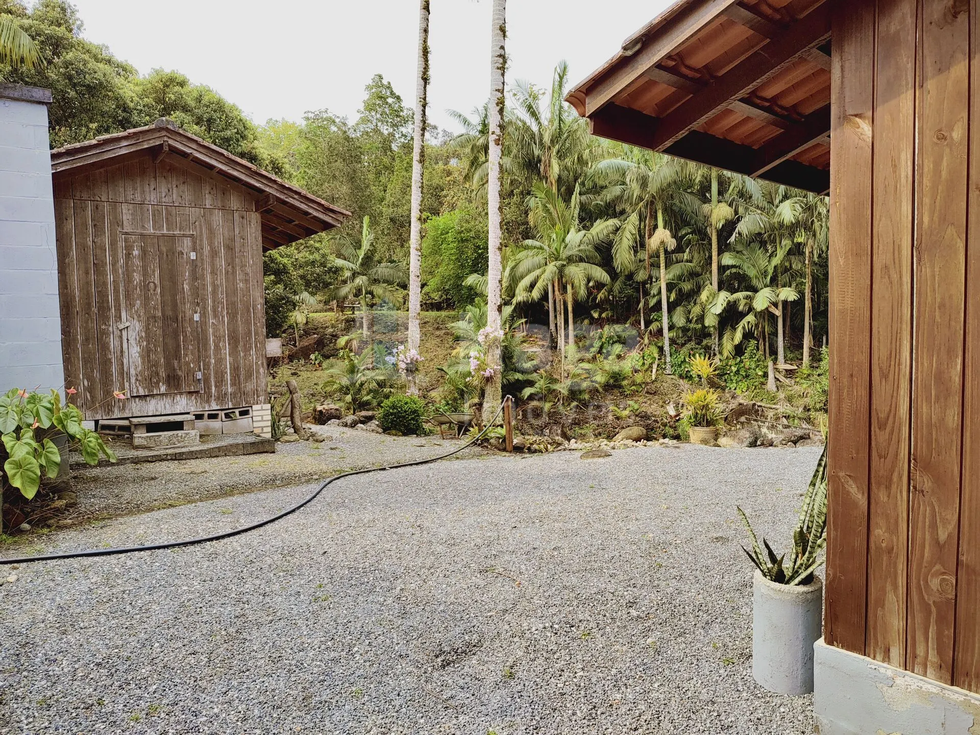 Chácara à venda de 5 ha em Guabiruba, SC, Brasil