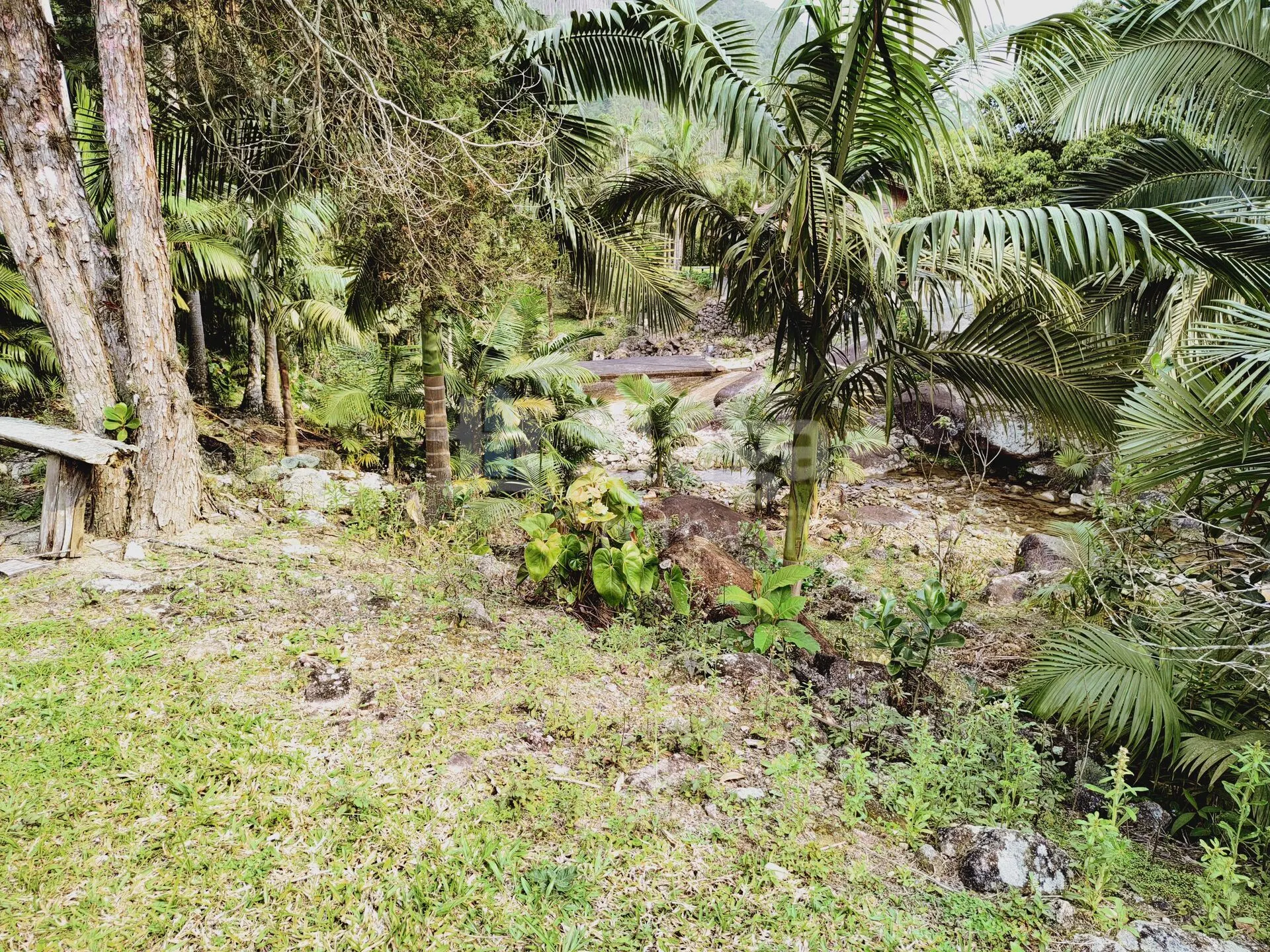 Chácara à venda de 5 ha em Guabiruba, SC, Brasil