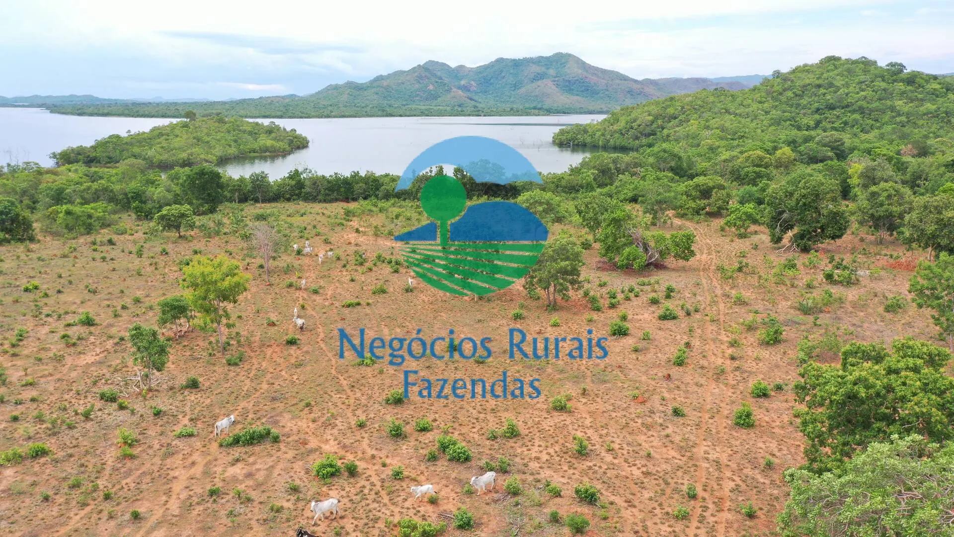 Fazenda à venda de 1.403 ha em São Salvador do Tocantins, TO, Brasil