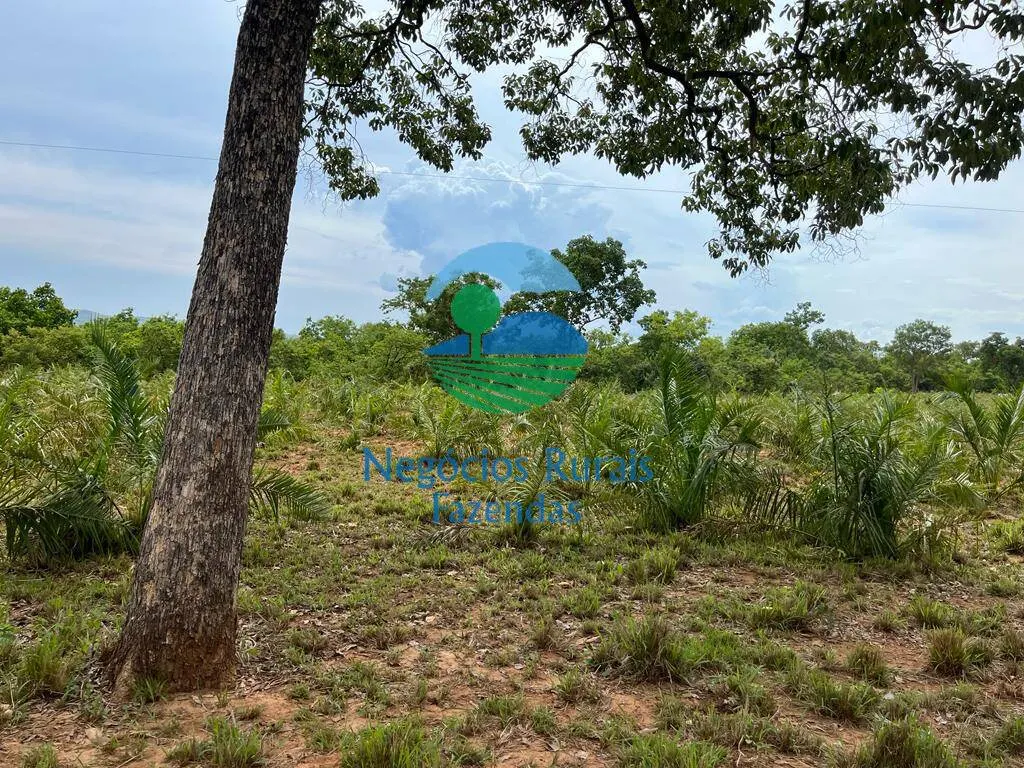 Fazenda à venda de 1.403 ha em São Salvador do Tocantins, TO, Brasil