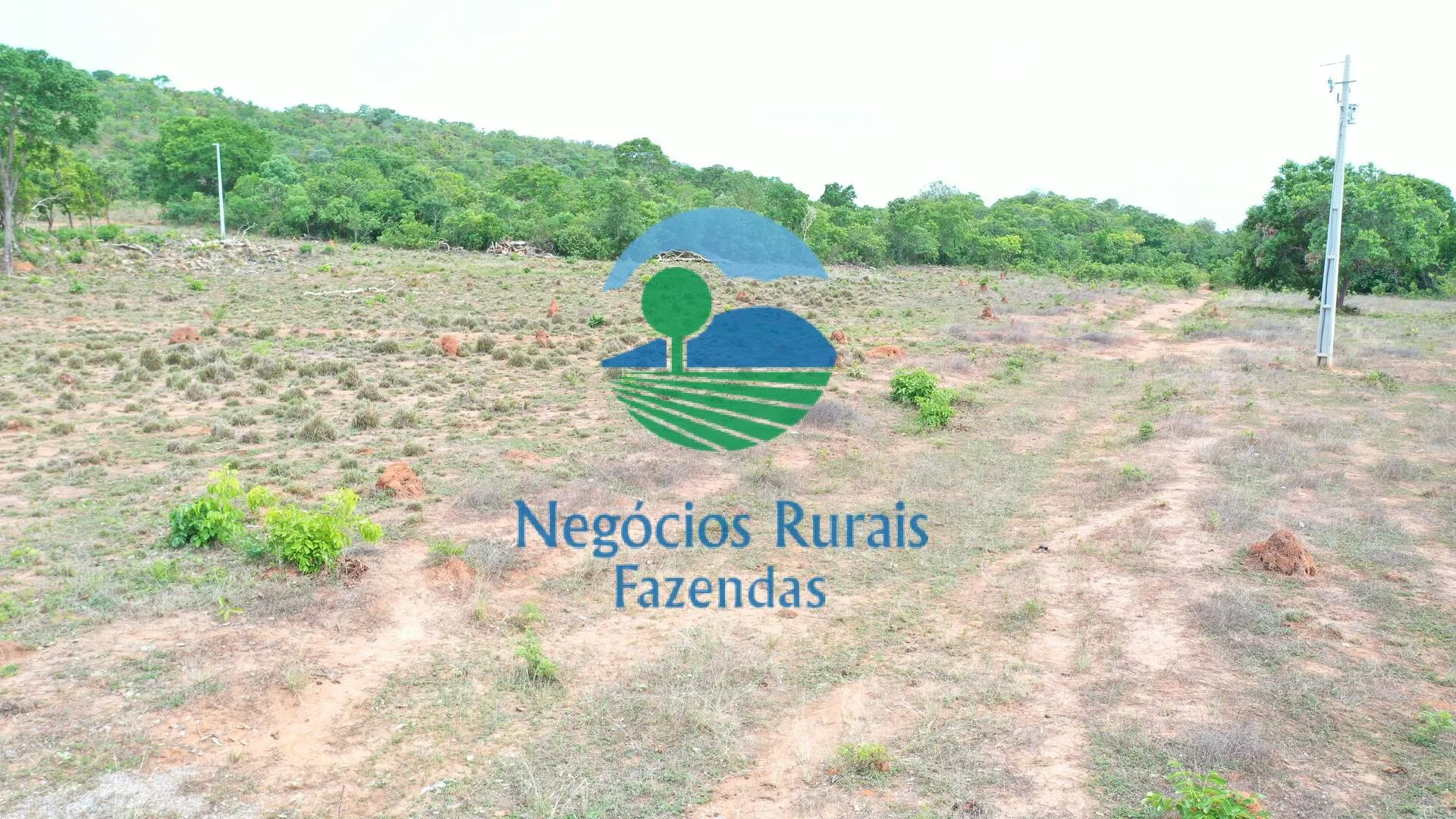 Fazenda à venda de 1.403 ha em São Salvador do Tocantins, TO, Brasil