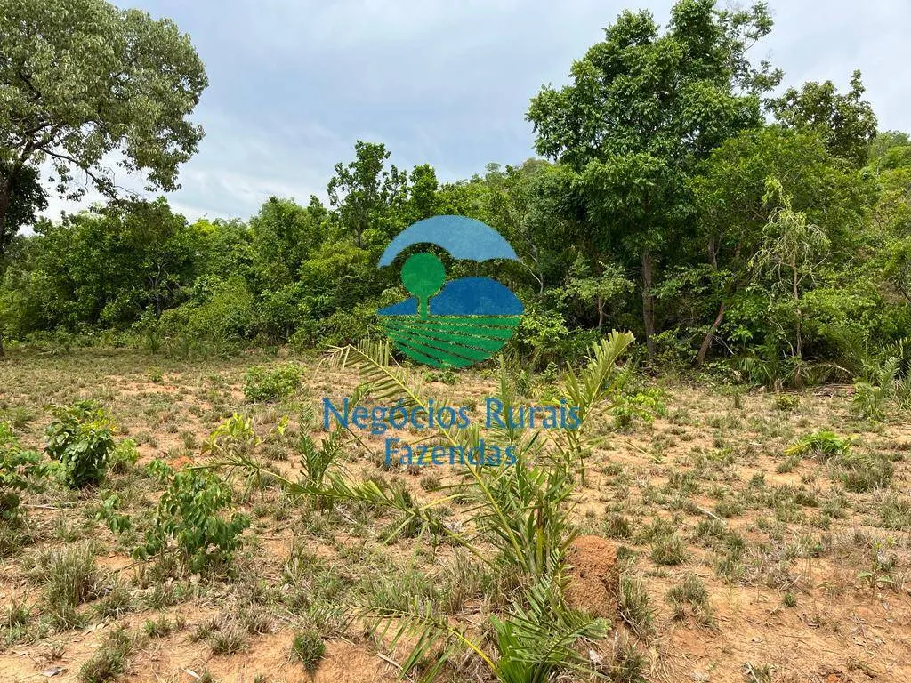 Fazenda à venda de 1.403 ha em São Salvador do Tocantins, TO, Brasil