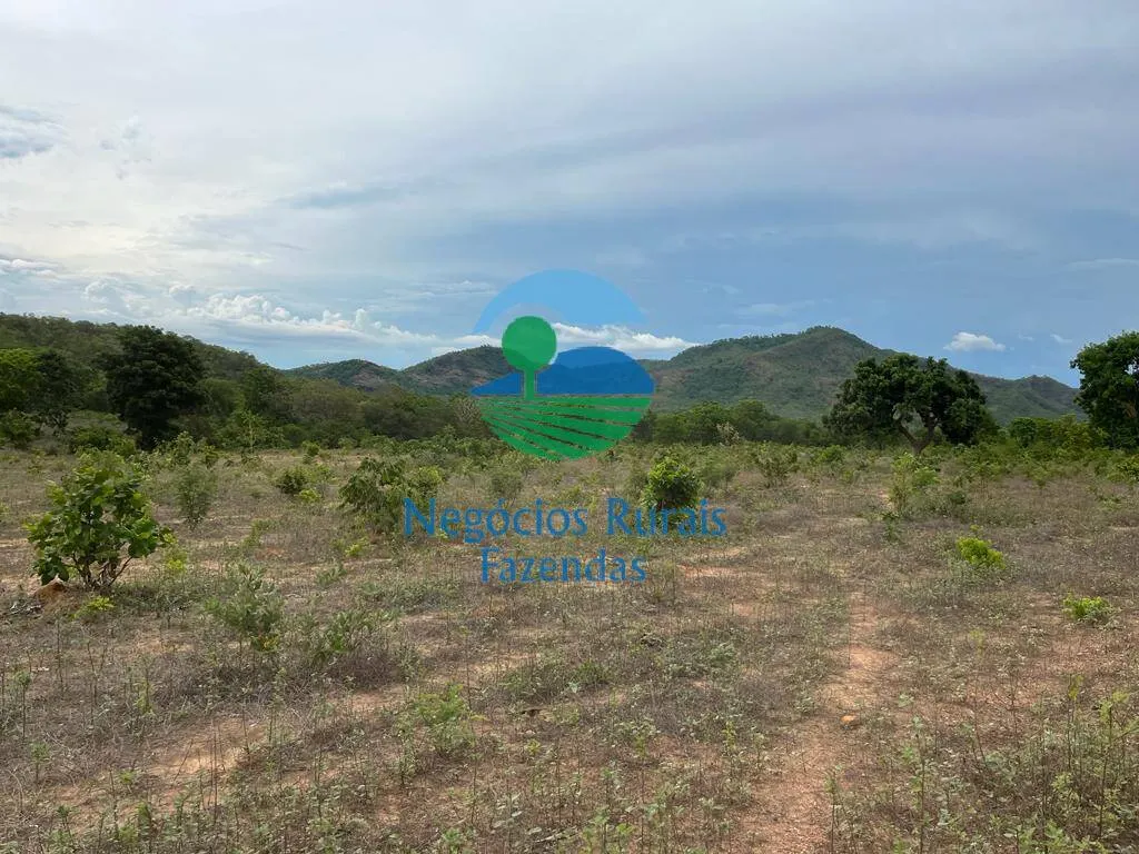 Fazenda à venda de 1.403 ha em São Salvador do Tocantins, TO, Brasil