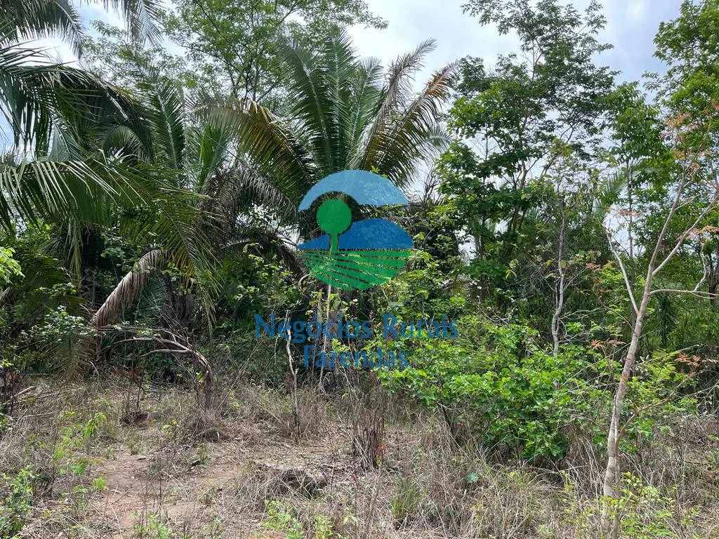 Fazenda à venda de 1.403 ha em São Salvador do Tocantins, TO, Brasil