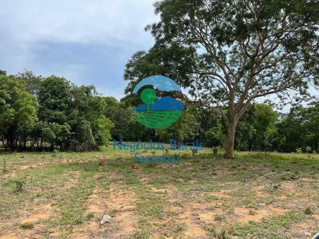 Fazenda à venda de 1.403 ha em São Salvador do Tocantins, TO, Brasil