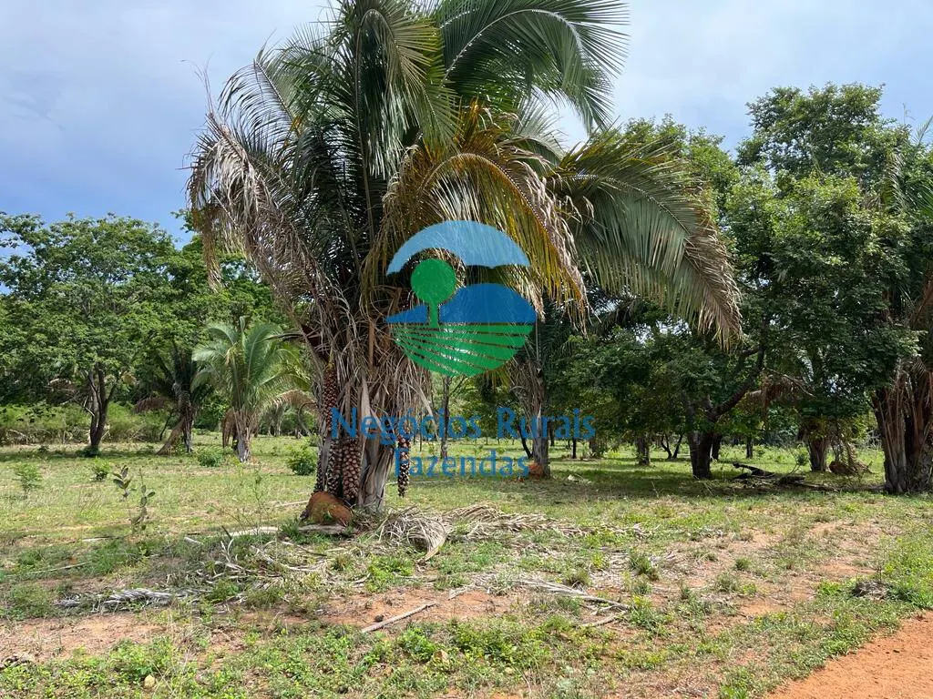 Fazenda à venda de 1.403 ha em São Salvador do Tocantins, TO, Brasil