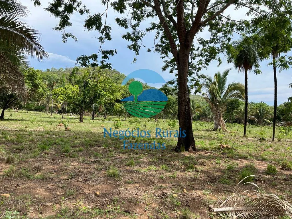 Fazenda à venda de 1.403 ha em São Salvador do Tocantins, TO, Brasil